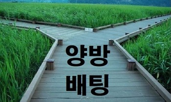 양방배팅-토토사이트-안전놀이터-토토사이트랭크