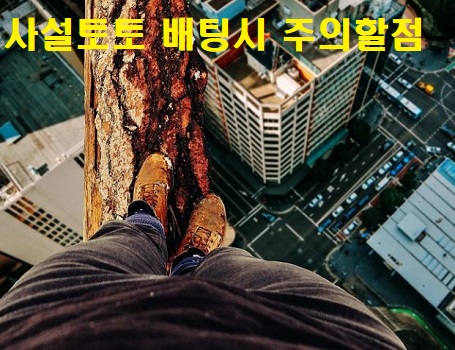 사설토토-배팅시-주의할점