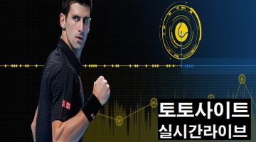 토토사이트-실시간라이브-특성이미지-토토사이트랭크