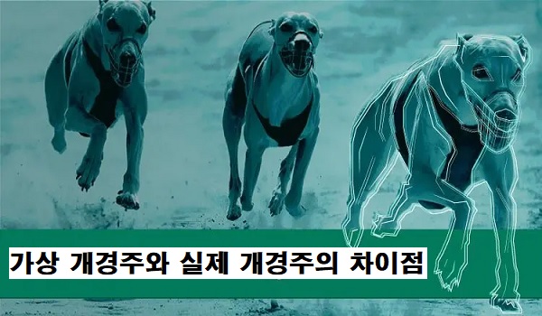 가상-개경주-차이점-토토사이트랭크